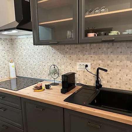 Vidri Apartment Rijeka